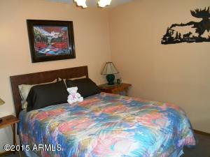 2849 Lodgepole Rd, Overgaard, AZ 85933 photo 69