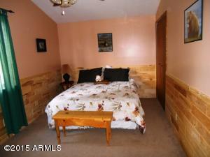 2849 Lodgepole Rd, Overgaard, AZ 85933 photo 75