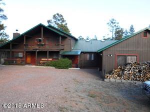 2849 Lodgepole Rd, Overgaard, AZ 85933 photo 59