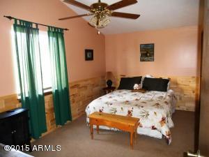 2849 Lodgepole Rd, Overgaard, AZ 85933 photo 74