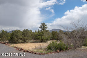 1926 E Maggie Dr, Williams, AZ 86046 photo 25