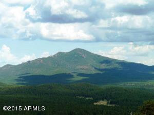 1926 E Maggie Dr, Williams, AZ 86046 photo 38