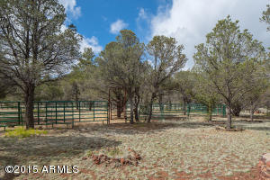 1926 E Maggie Dr, Williams, AZ 86046 photo 19