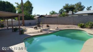 6354 E Ivy St, Mesa, AZ 85205 photo 39