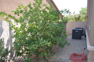 3068 E Castanets Dr, Gilbert, AZ 85298 photo 41