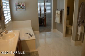 3068 E Castanets Dr, Gilbert, AZ 85298 photo 29