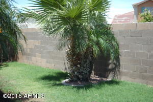 1165 S Red Rock Ct #E, Gilbert, AZ 85296 photo 11
