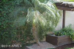 1165 S Red Rock Ct #E, Gilbert, AZ 85296 photo 28