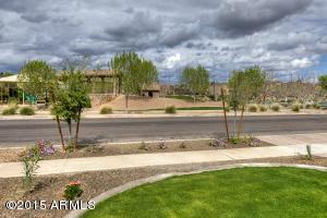3033 E Melrose St, Gilbert, AZ 85297 photo 23