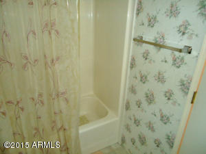 9634 Escondido Ave, Mesa, AZ 85208 photo 20