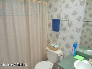 9634 Escondido Ave, Mesa, AZ 85208 photo 19