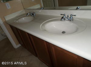 1029 E Lodgepole Dr, Gilbert, AZ 85298 photo 49
