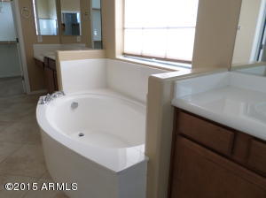 1029 E Lodgepole Dr, Gilbert, AZ 85298 photo 44