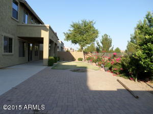 1029 E Lodgepole Dr, Gilbert, AZ 85298 photo 53
