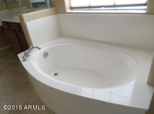 1029 E Lodgepole Dr, Gilbert, AZ 85298 photo 46