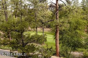 2309 E Grapevine Dr, Payson, AZ 85541 photo 58