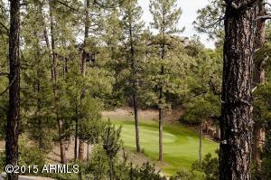 2309 E Grapevine Dr, Payson, AZ 85541 photo 56