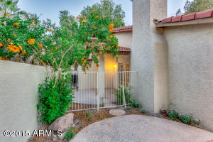 250 E Pinon Way, Gilbert, AZ 85234 photo 34