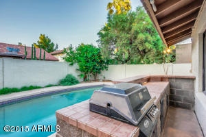 250 E Pinon Way, Gilbert, AZ 85234 photo 46