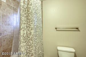 250 E Pinon Way, Gilbert, AZ 85234 photo 19