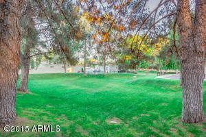 250 E Pinon Way, Gilbert, AZ 85234 photo 47