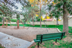 250 E Pinon Way, Gilbert, AZ 85234 photo 49