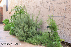 1900 E Campbell Ave, Gilbert, AZ 85234 photo 38