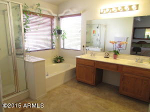 3876 E Mountain Sky Ave, Phoenix, AZ 85044 photo 17