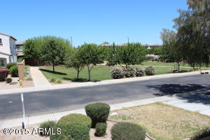 1257 E Julian Dr, Gilbert, AZ 85295 photo 1