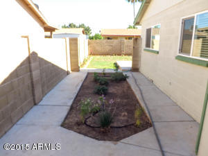743 E Palomino Dr, Gilbert, AZ 85296 photo 9