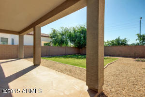 1311 E Francis Ln, Gilbert, AZ 85295 photo 43