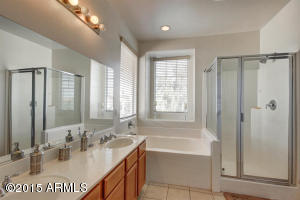 1311 E Francis Ln, Gilbert, AZ 85295 photo 23
