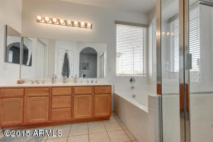 1311 E Francis Ln, Gilbert, AZ 85295 photo 27