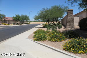 8462 E Meseto Ave, Mesa, AZ 85209 photo 39
