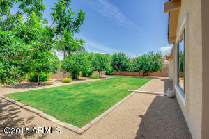 544 Elgin Ct, Gilbert, AZ 85295 photo 23