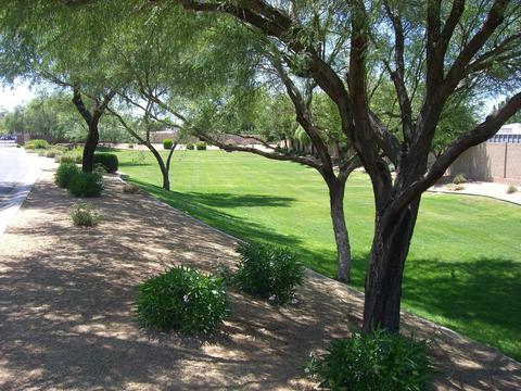 249 E Mclellan Rd, Mesa, AZ 85201 photo 4
