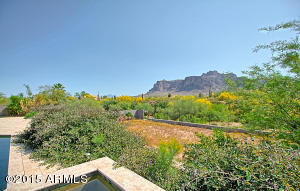 933 N Roadrunner Rd, Apache Junction, AZ 85119 photo 11