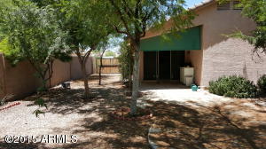 3431 E Menadota Dr, Phoenix, AZ 85050 photo 6