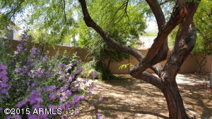 3431 E Menadota Dr, Phoenix, AZ 85050 photo 8
