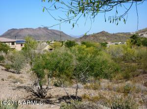27418 N 64th Ave, Phoenix, AZ 85083 photo 68