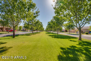 2911 E Morrison Ranch Pkwy, Gilbert, AZ 85296 photo 76