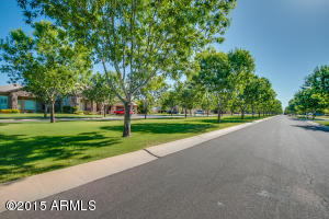2911 E Morrison Ranch Pkwy, Gilbert, AZ 85296 photo 77