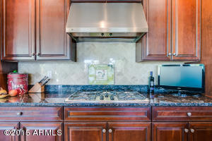 2911 E Morrison Ranch Pkwy, Gilbert, AZ 85296 photo 40