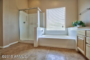 3135 E Piute Ave, Phoenix, AZ 85050 photo 28