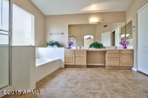 3135 E Piute Ave, Phoenix, AZ 85050 photo 27