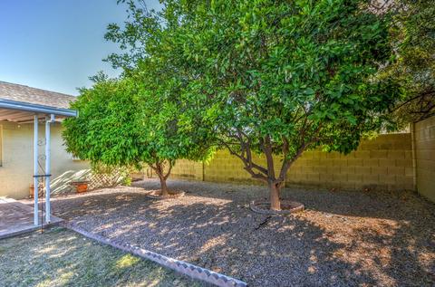 7438 E Dewan Ave, Mesa, AZ 85208 photo 26
