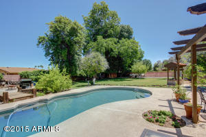 1944 E Grandview St, Mesa, AZ 85203 photo 61