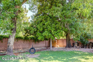 1944 E Grandview St, Mesa, AZ 85203 photo 46