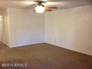 3019 E Delta Ave, Mesa, AZ 85204 photo 38