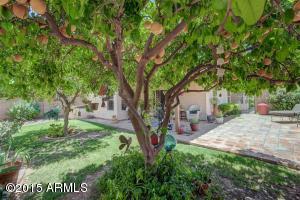 813 S Capistrano Dr, Gilbert, AZ 85233 photo 26